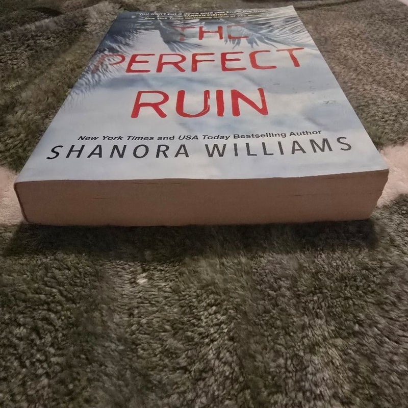 The Perfect Ruin