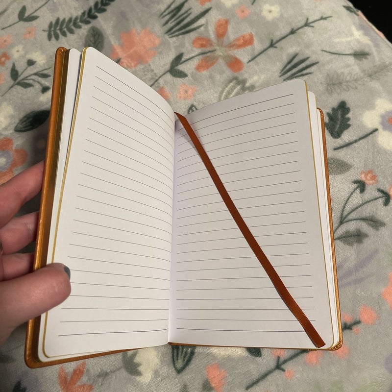 Fairyloot Journal