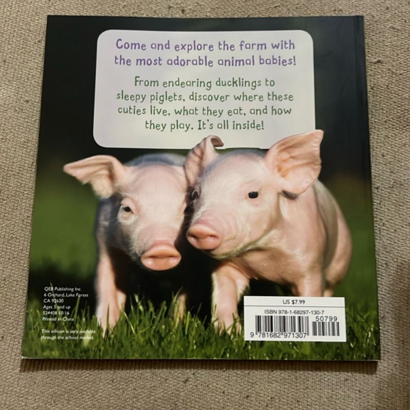Farm babies 