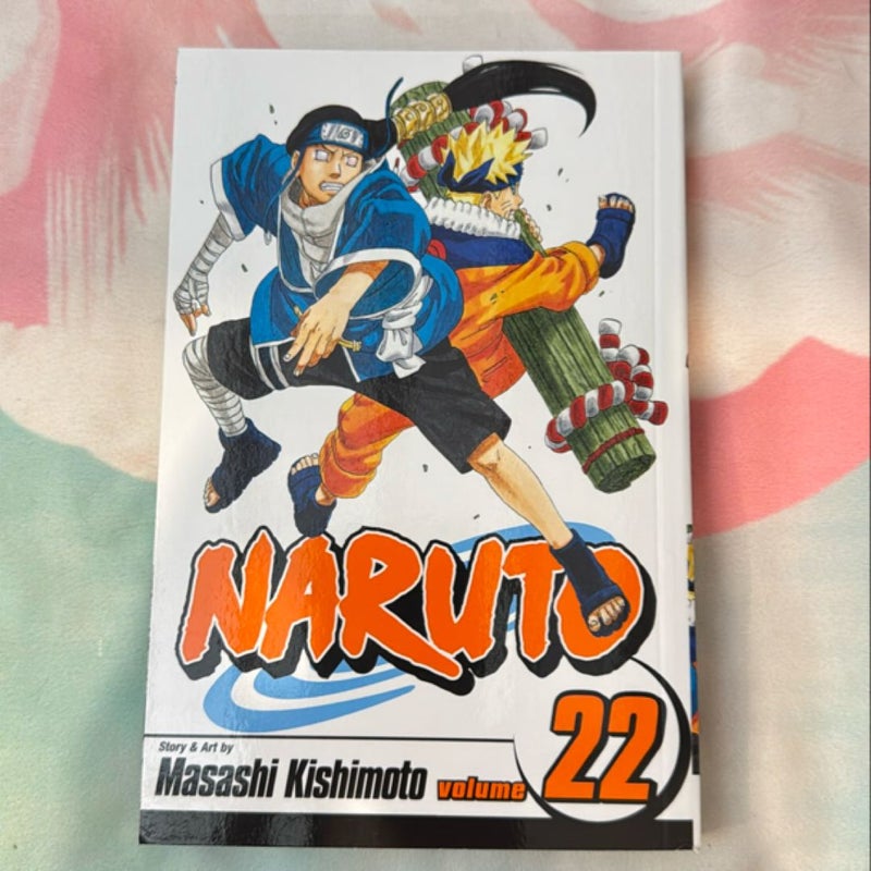 Naruto, Vol. 22