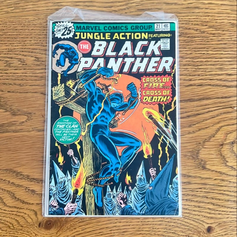 The Black Panther #21