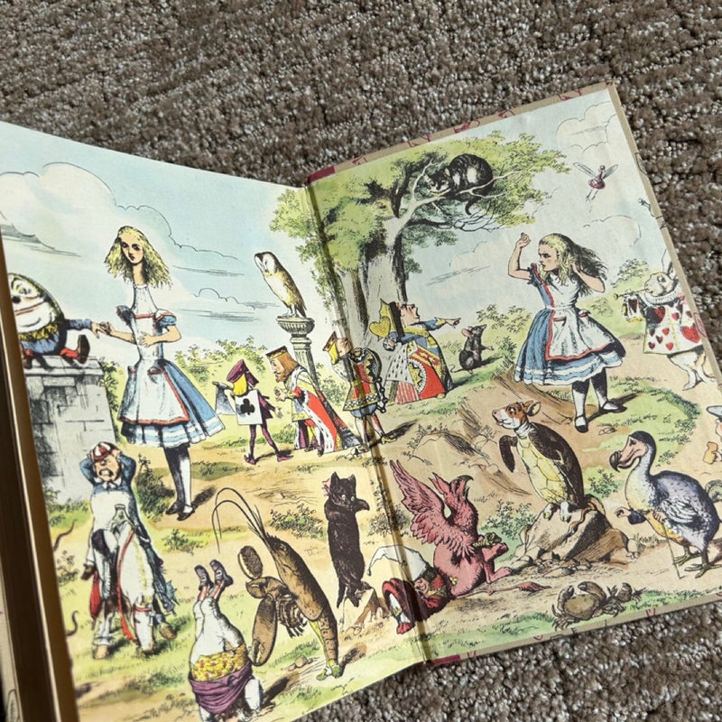 Alice in Wonderland