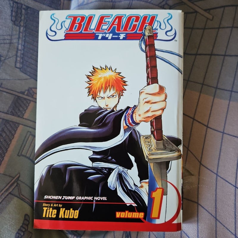 Bleach, Vol. 1