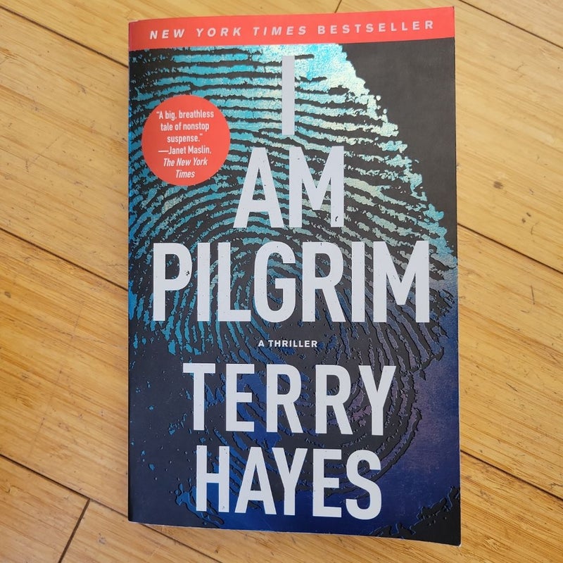 I Am Pilgrim