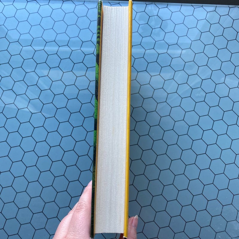 The Maze (FIRST EDITION)