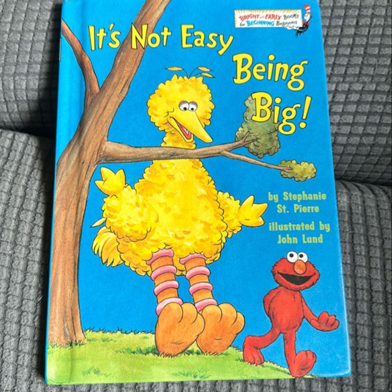 Sesame Street: It's Not Easy Being Big