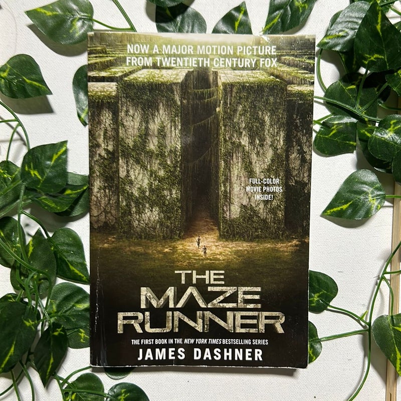 The Maze Runner