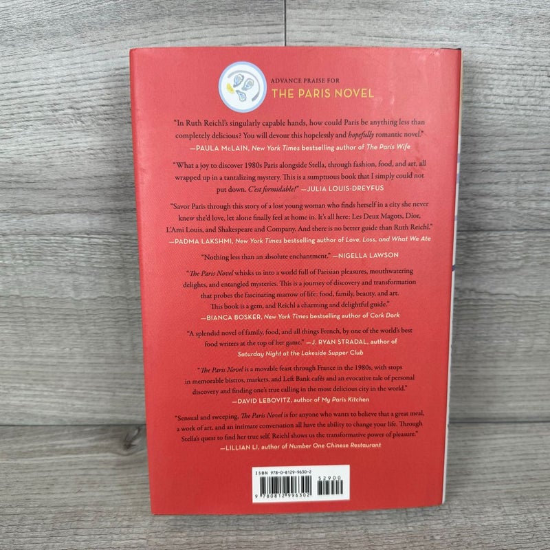 The Paris Novel
