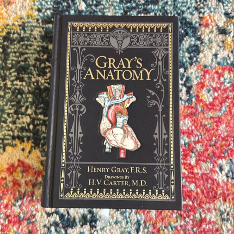 B&N Grays Anatomy Leather Classic - O/P