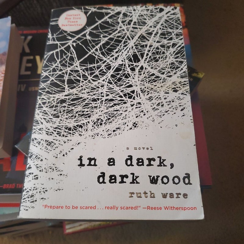 In a Dark, Dark Wood