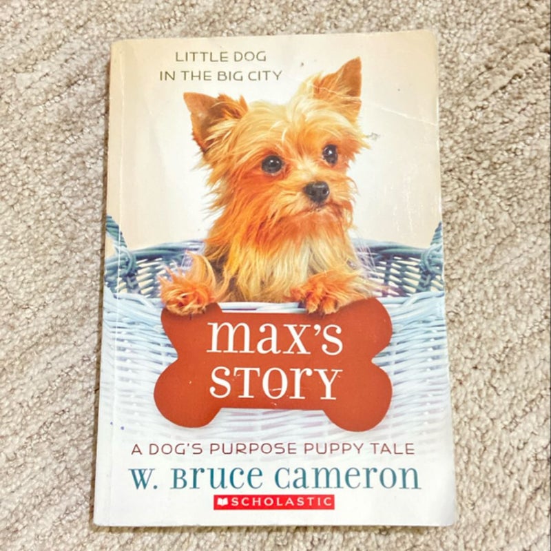 Max’s Story