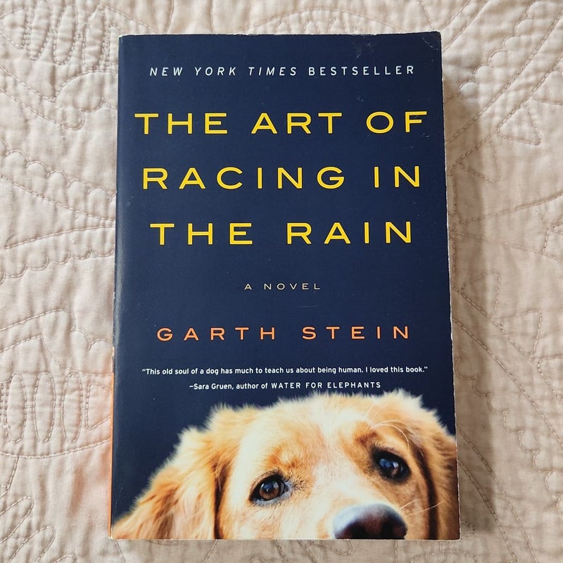 The Art of Racing in the Rain