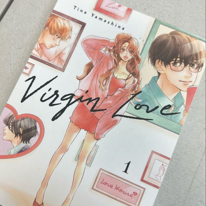 Virgin Love 1