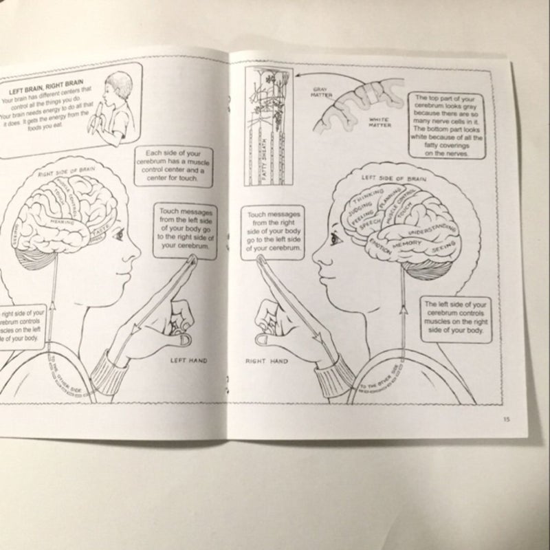 My First Book about the Brain