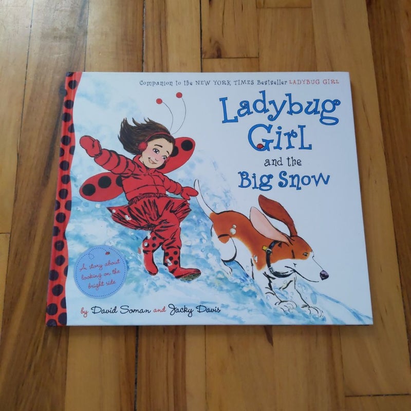 Ladybug Girl and the Big Snow