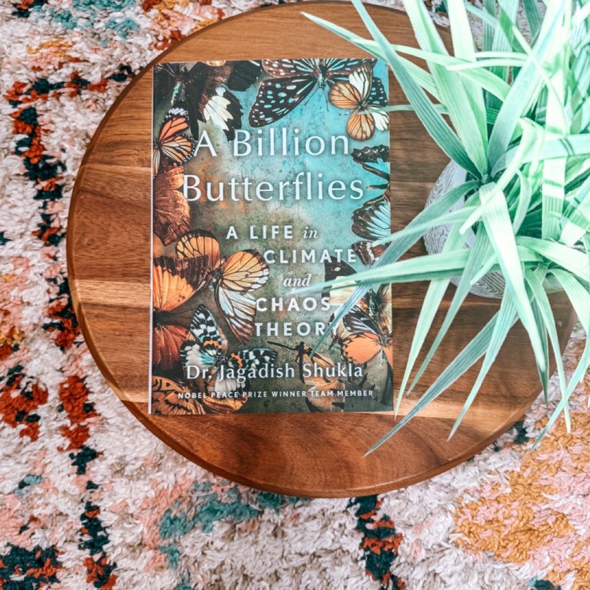 A Billion Butterflies by Jagadish Shukla