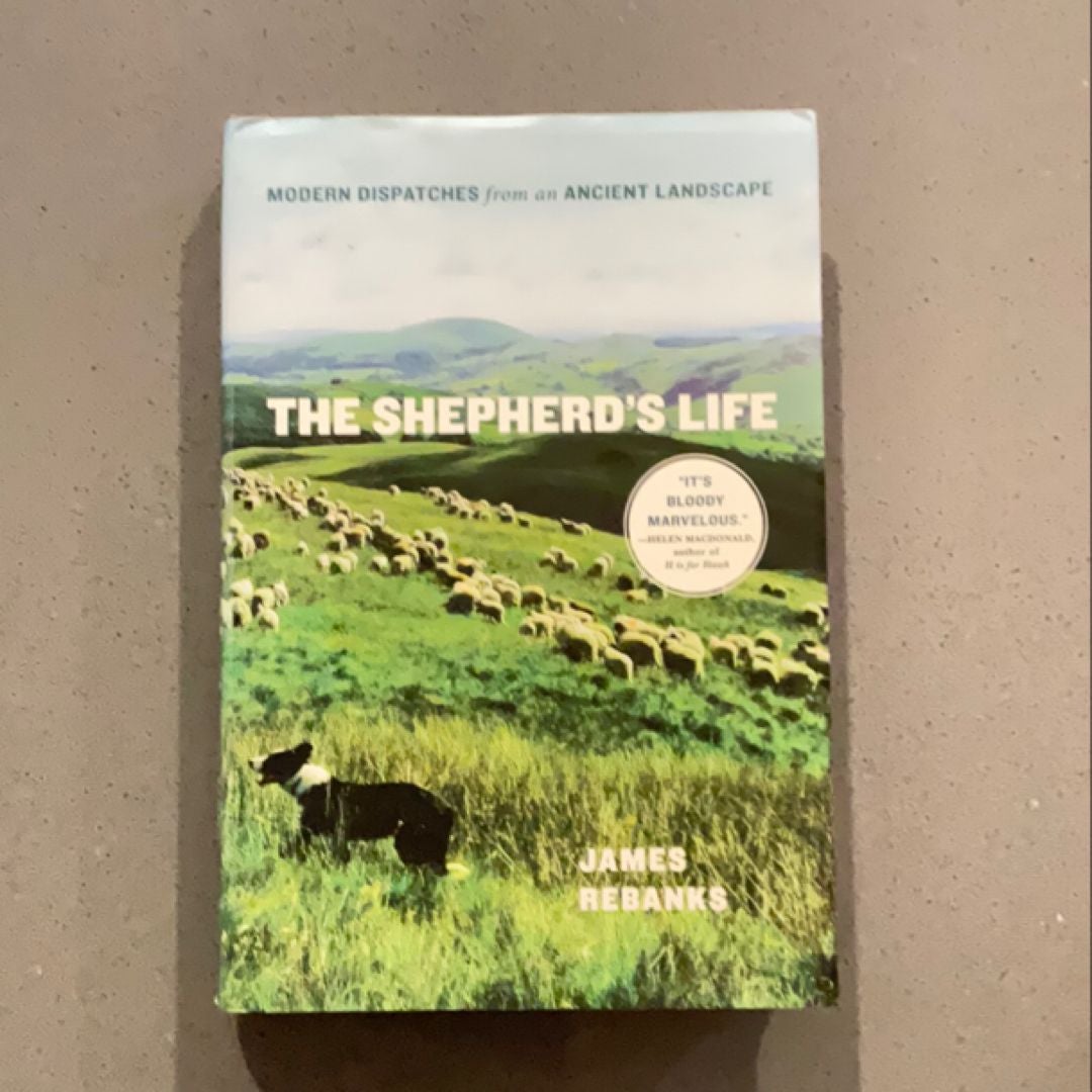 The Shepherd's Life