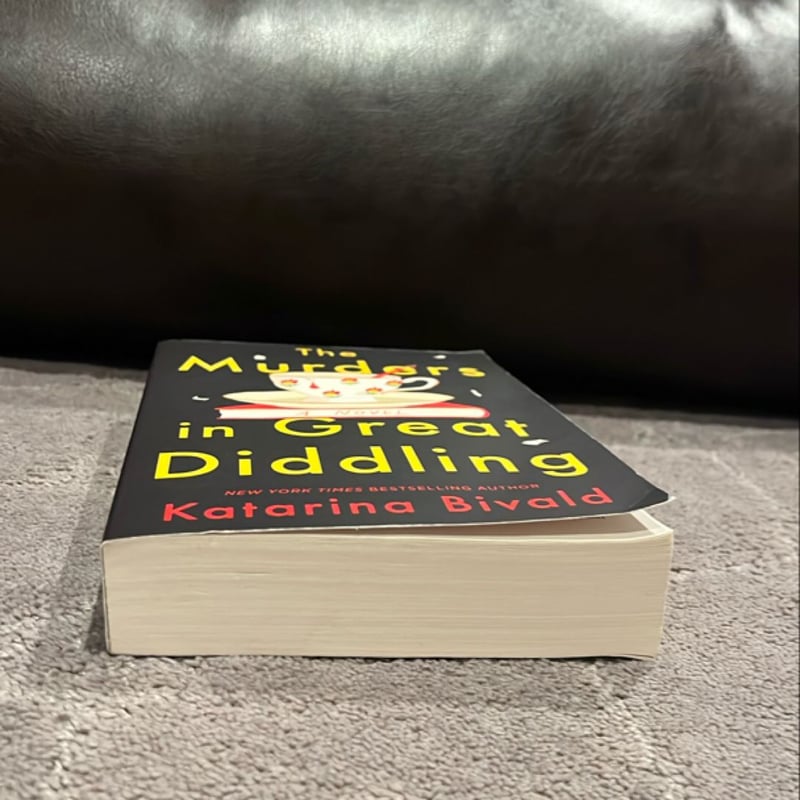 The Murders in Great Diddling by Katarina Bivald, Paperback | Pangobooks
