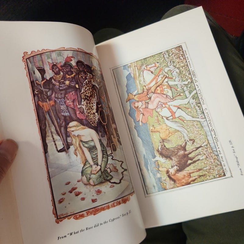 The Brown Fairy Book
