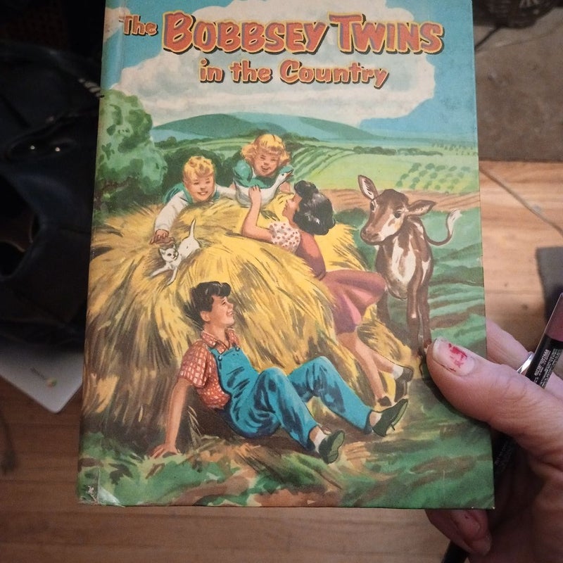 The Bobbsey Twins in the country 
