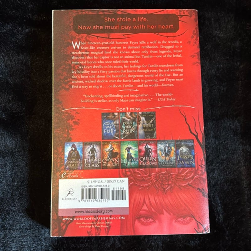 A Court of Thorns and Roses OUT OF PRINT PAPERBACK (READ DESCRIPTION)