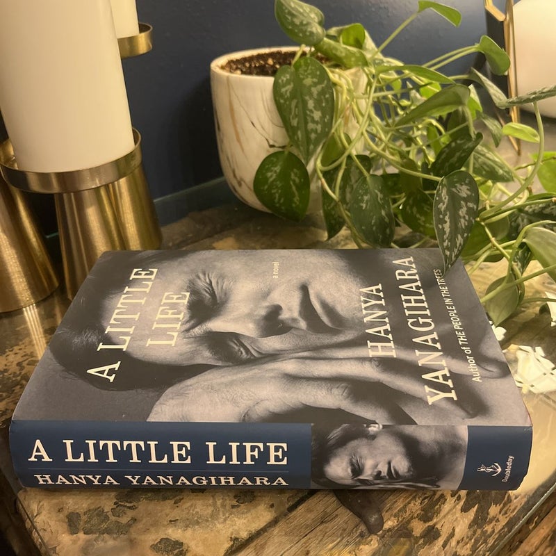 A Little Life by Hanya Yanagihara: my book review - The Natterbox