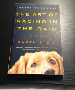 The Art of Racing in the Rain