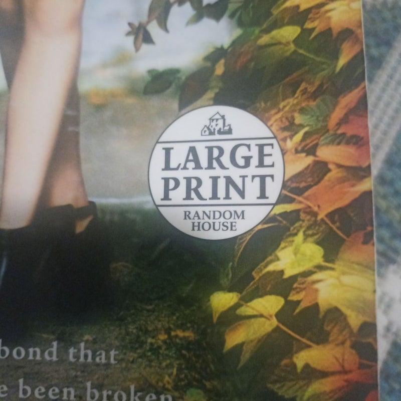 Blood Sisters LARGE PRINT