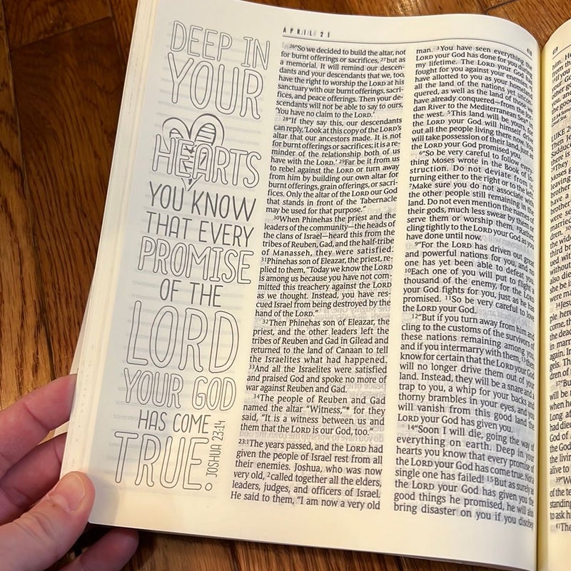 The One Year Bible - Expressions