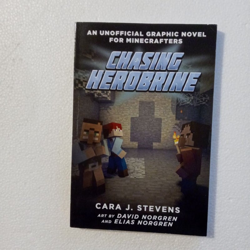 Chasing Herobrine