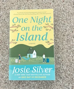 One Night on the Island