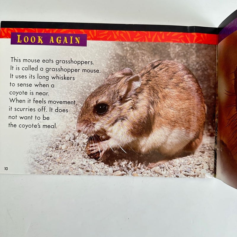 Learn to Read Animal Book Bundle, Lot of 17, Early Reader