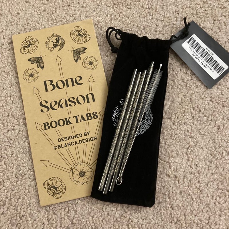 Fairyloot Page tabs and Metal Straw Set