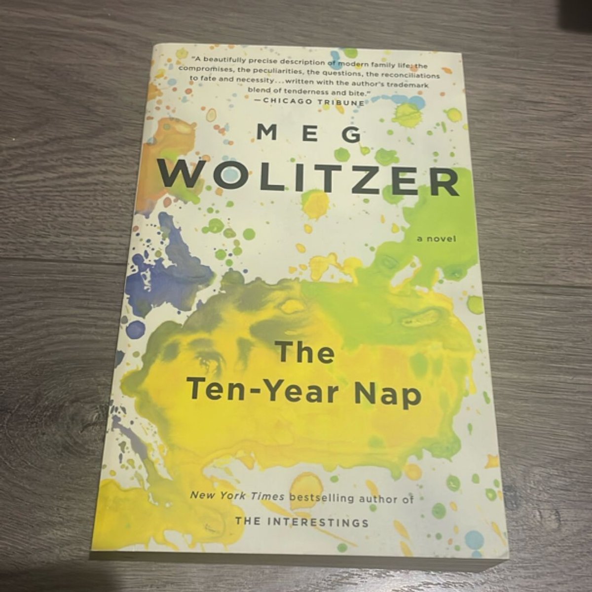 The TenYear Nap by Meg Wolitzer