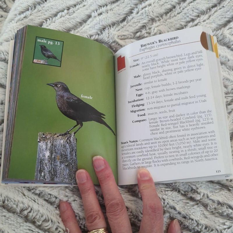 Birds of Utah Field Guide
