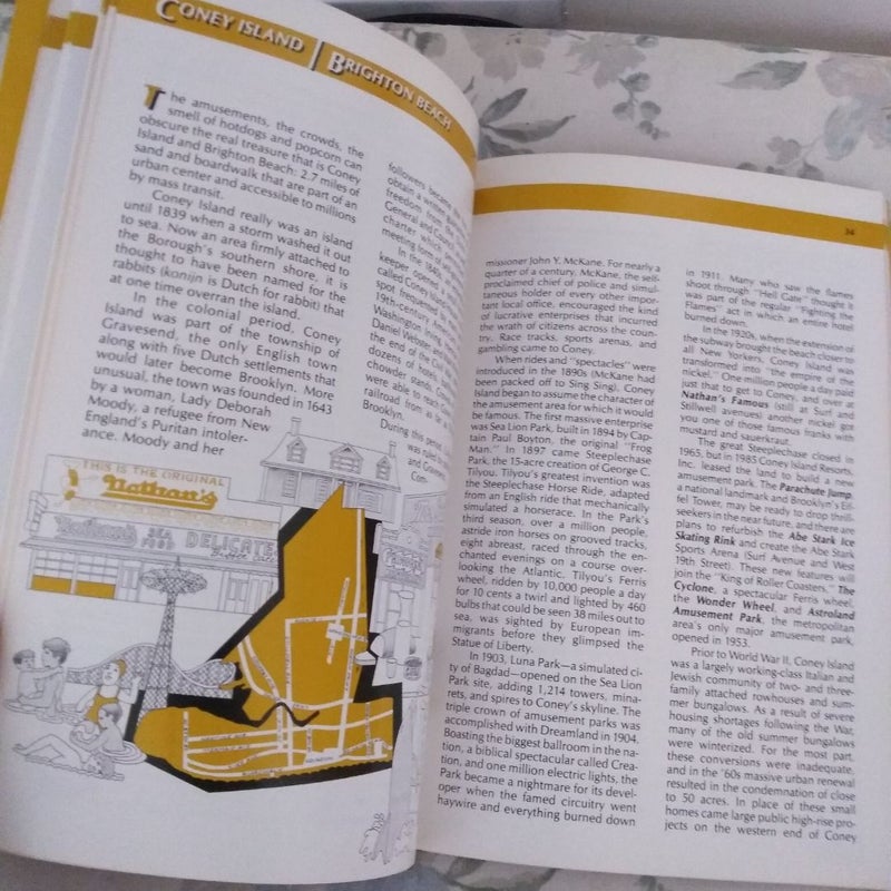 Brooklyn Neighborhood Book