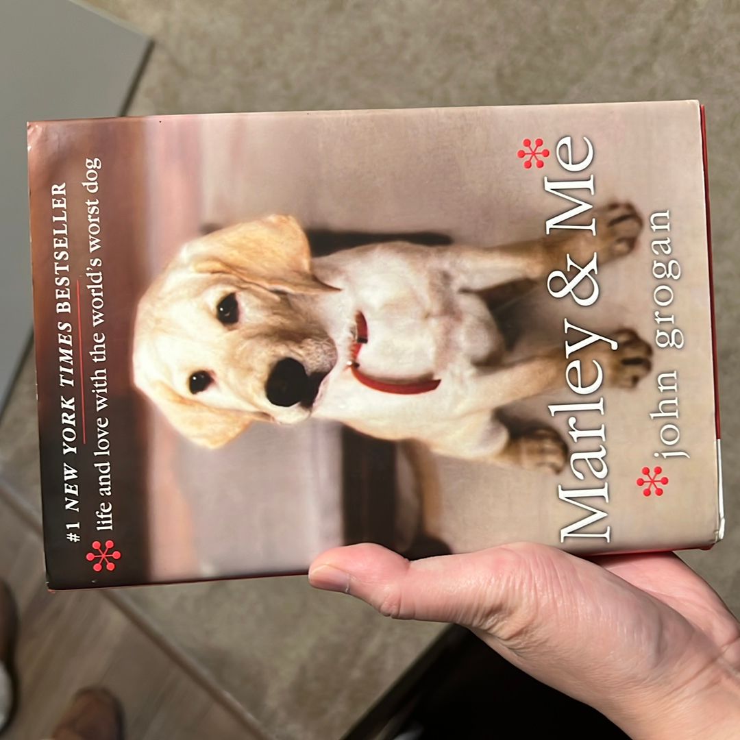 Sale image for 10c19970-842f-4099-960c-94c6b4adc320-OdnvoO7yaecv72WnwFRu8lYkX6x1