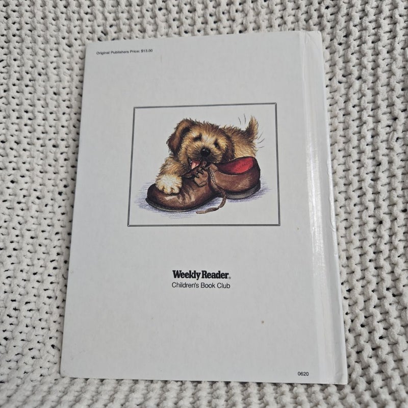The Puppy Who Wanted a Boy
