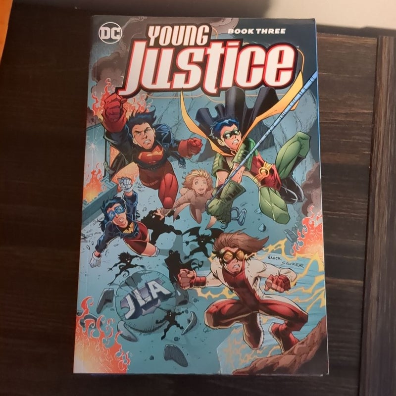 Young Justice Book Three