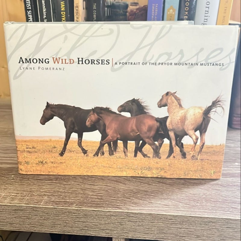 Among Wild Horses