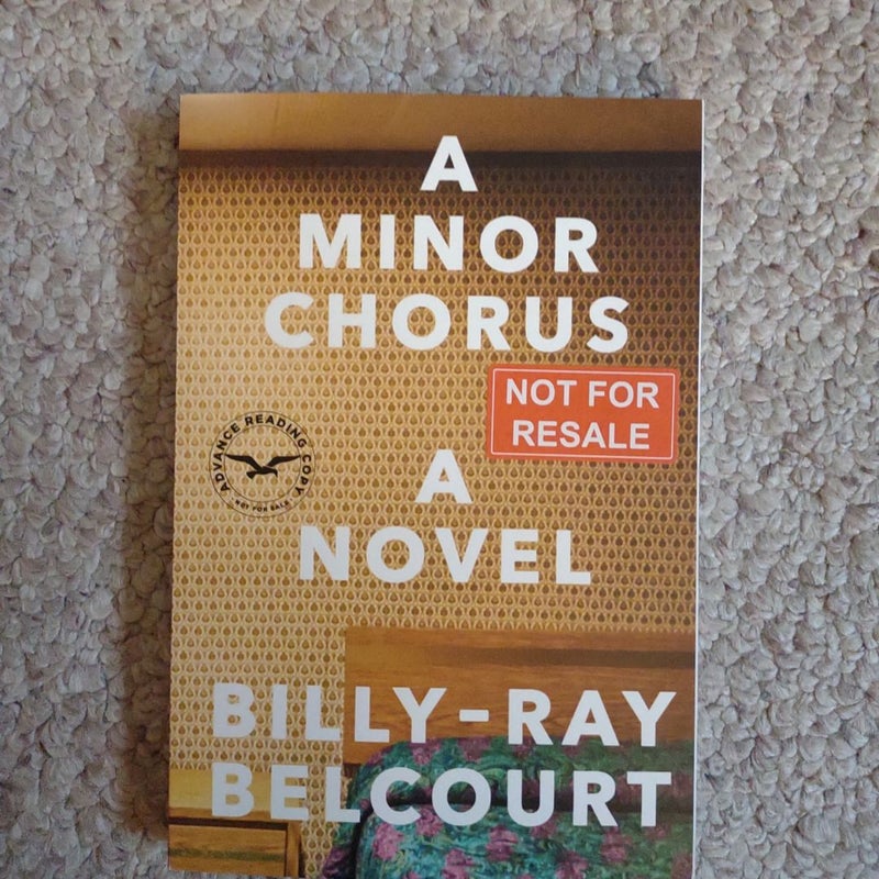 A Minor Chorus - a Novel