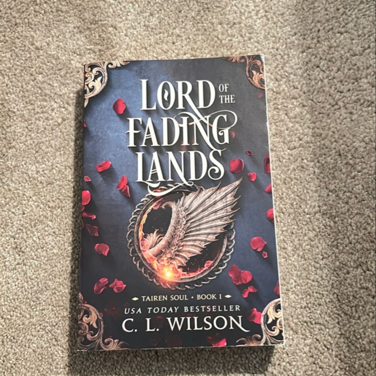 Lord of the Fading Lands by C. L. Wilson