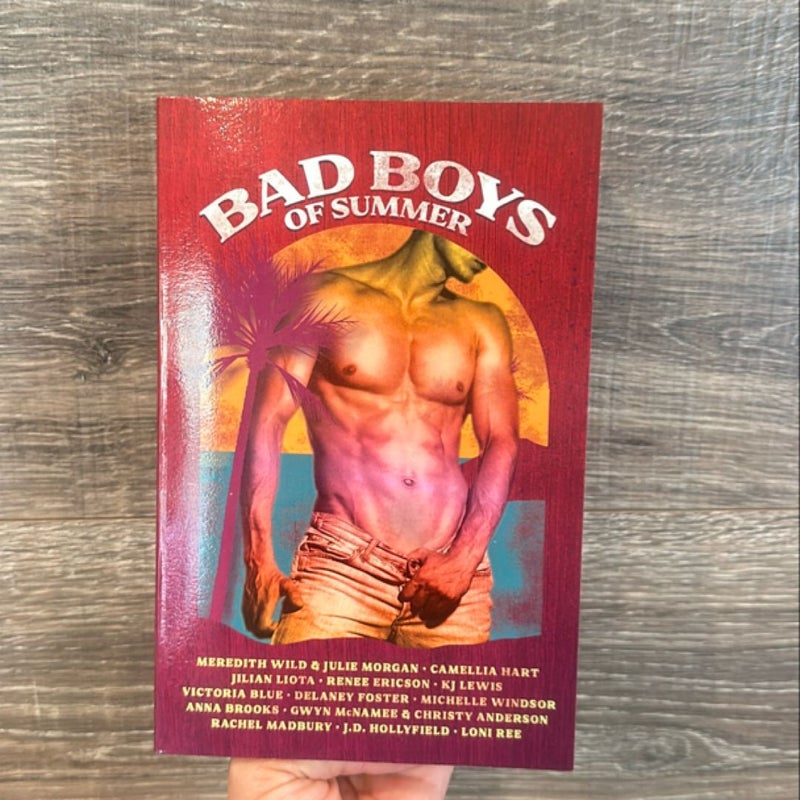 Bad Boys of Summer Anthology