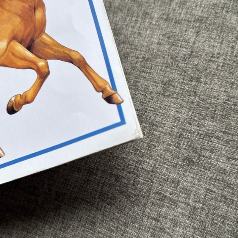 The Usborne Book of Horses & Ponies