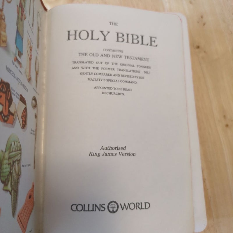 Holy Bible Dictionary Concordance Red Letter Edition King James Version 