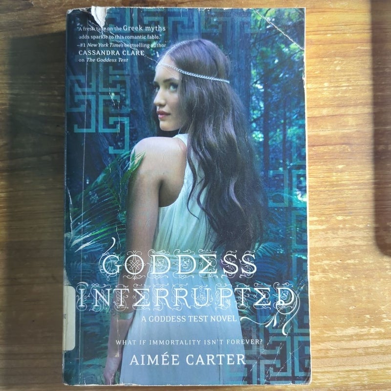 Goddess Interrupted