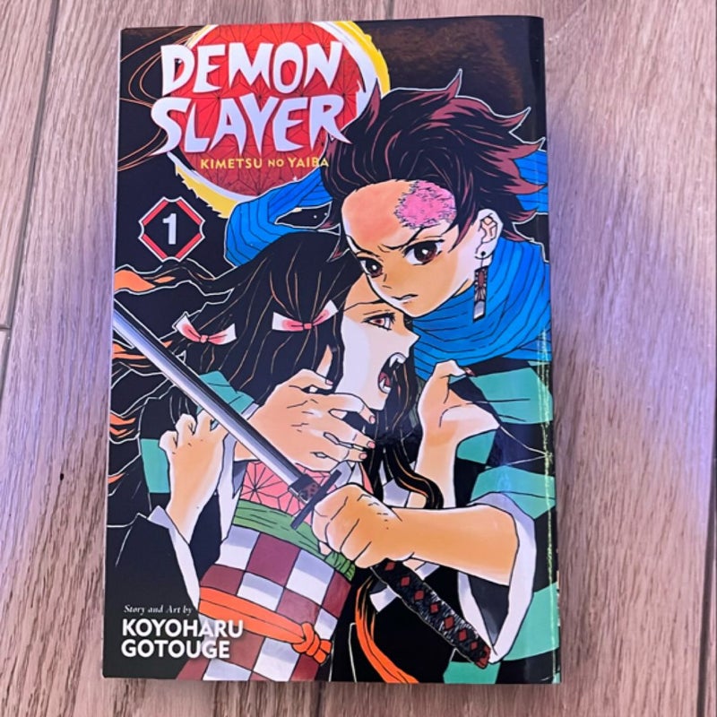 Demon Slayer: Kimetsu No Yaiba, Vol. 1