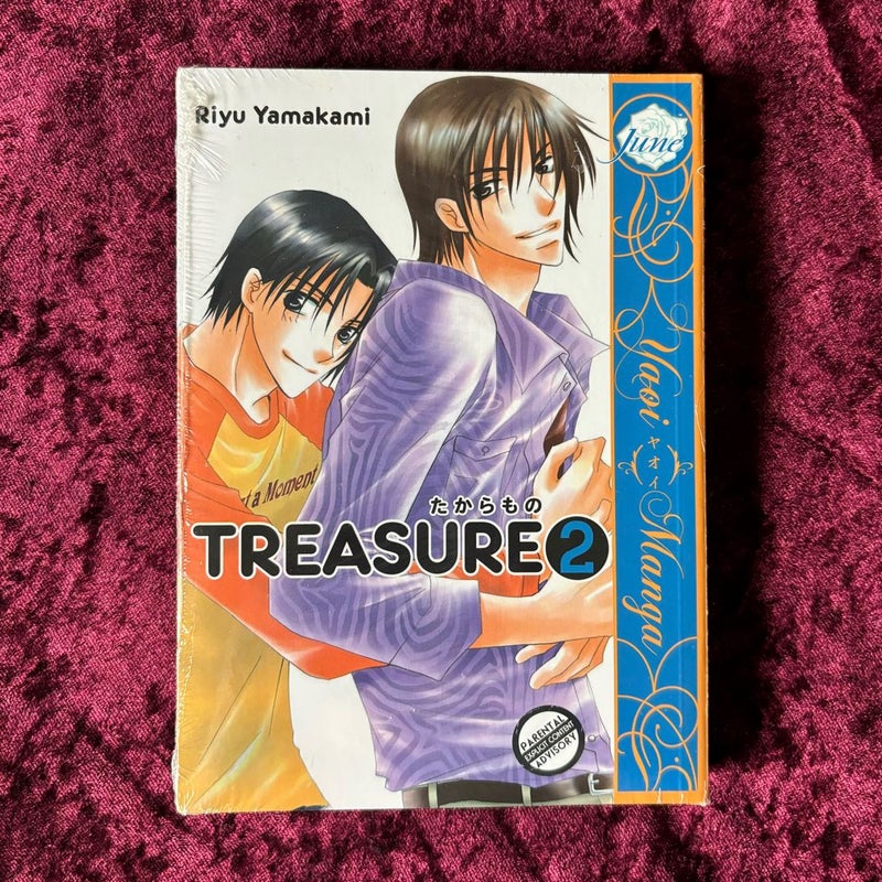 Treasure Volume 2 (Yaoi)