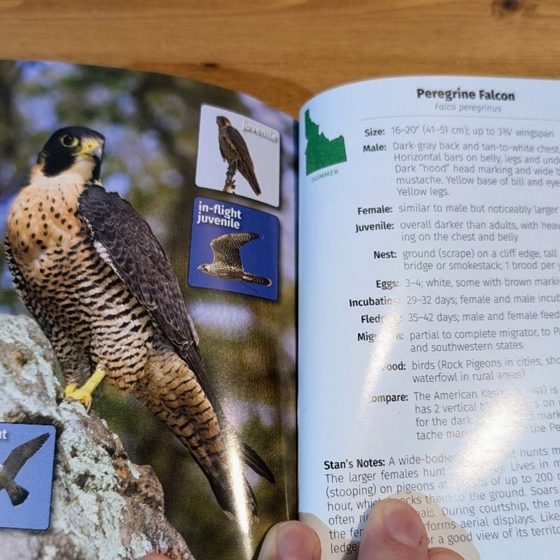 Birds of Idaho Field Guide