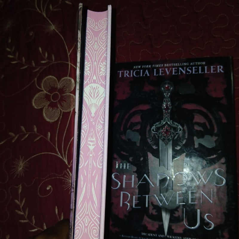 The Darkness Within Us & the shadows between us bundle